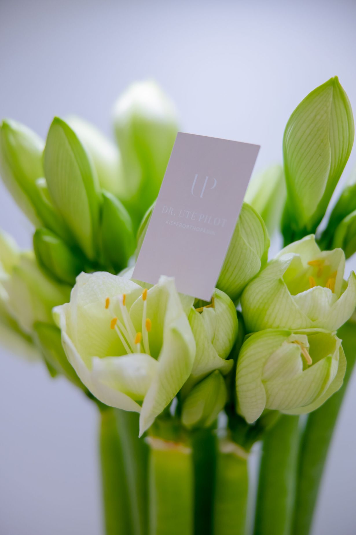 Gesetzlicher Anspruch auf eine ausreichende, zweckmäßige und wirtschaftliche Behandlung – warum zusätzliche Leistungen zunehmend wichtiger werden